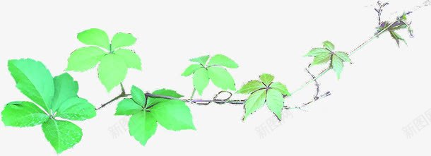 春天清明节植物绿叶装饰png免抠素材_88icon https://88icon.com 春天 植物 清明节 绿叶 装饰