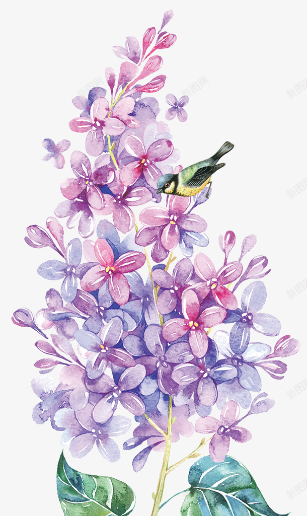 装饰手绘花鸟元素png免抠素材_88icon https://88icon.com 小鸟 手绘插画 花卉 花鸟 装饰图案 鲜花