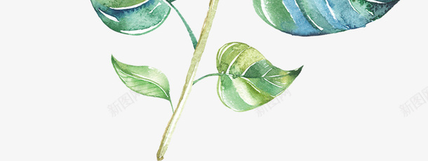 装饰手绘花鸟元素png免抠素材_88icon https://88icon.com 小鸟 手绘插画 花卉 花鸟 装饰图案 鲜花
