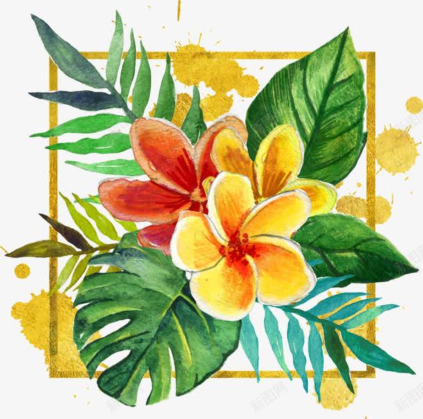 手绘花朵标签png免抠素材_88icon https://88icon.com 手绘 植物 水彩 热带花朵 花朵 鸡蛋花