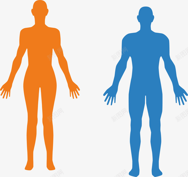 试验用的人体图像矢量图ai免抠素材_88icon https://88icon.com 人体 医药 生物医药 生物医药产业 生物医药展板 生物医药广告 生物医药整容 矢量图