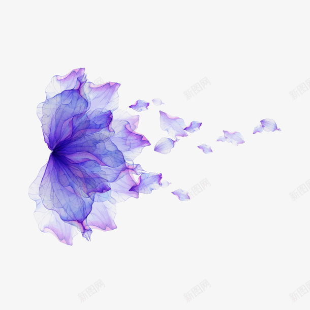 装饰底纹矢量图ai免抠素材_88icon https://88icon.com 手绘图案 时尚炫彩花纹 紫色 装饰底纹 矢量图