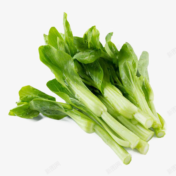 一把新鲜绿色广东菜心健康饮食插png免抠素材_88icon https://88icon.com 一把新鲜绿色广东菜心健康饮食插图免抠免费下载 健康 农业 广东 广东菜心 新鲜 种植业 第一产业 绿色 菜心 菜苔 营养 蔬菜 青菜