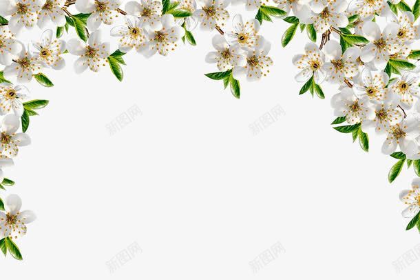 小清新花边框png免抠素材_88icon https://88icon.com 点缀 百花 绿叶 边框