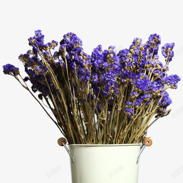 薰衣草干花png免抠素材_88icon https://88icon.com 家居装饰 居家装饰 干花花束 干花花艺 干花装饰 染花干花 薰衣草花瓶