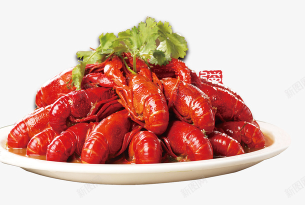 红色简约大气美食小龙虾促销海报png免抠素材_88icon https://88icon.com 促销 促销海报 吃货节 大气 小龙虾 简约 红色 红色简约大气美食小龙虾促销海报 美食