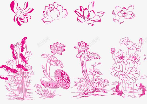 清新粉色荷花线条png免抠素材_88icon https://88icon.com 线条图 花盘 荷花 金鱼
