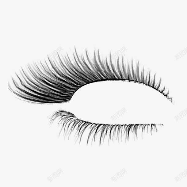 彩妆睫毛png免抠素材_88icon https://88icon.com 下睫毛 假睫毛 女生睫毛 真人睫毛 睫毛笔刷 高清 黑色