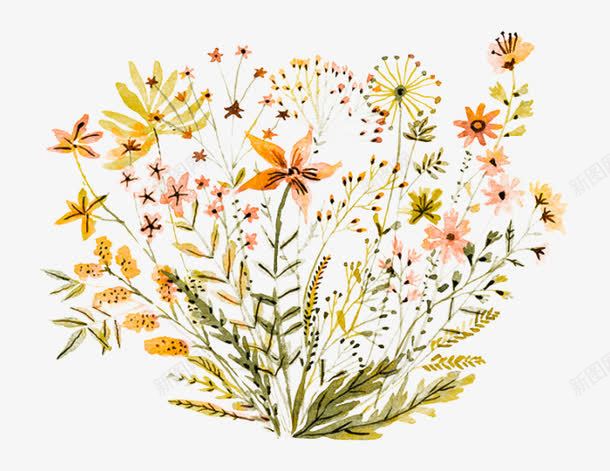 手绘花丛png免抠素材_88icon https://88icon.com 彩绘 彩色 手绘 色彩 花丛 花草 野花 静物