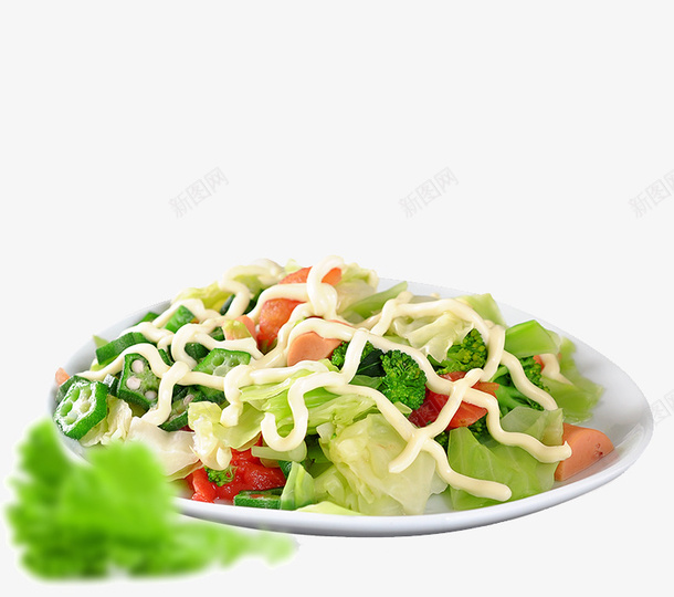 美味蔬菜沙拉png免抠素材_88icon https://88icon.com 低脂 健康 减肥餐 水果色拉 沙拉酱 维生素 绿色食品 美食 营养 蔬菜沙拉