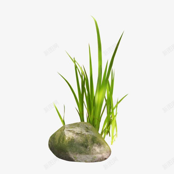 石头和青草png免抠素材_88icon https://88icon.com 堆石块 温泉 绿色 舒适 雅静