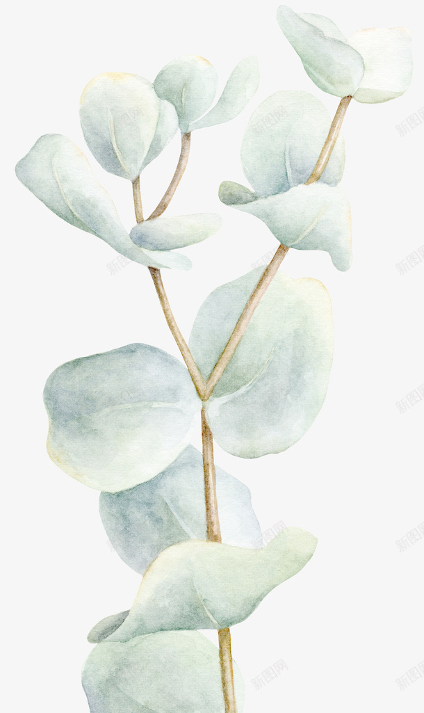 手绘创意植物绿叶图png免抠素材_88icon https://88icon.com 创意 卡通手绘 叶子 小清新 植物 水墨 水彩 绿色