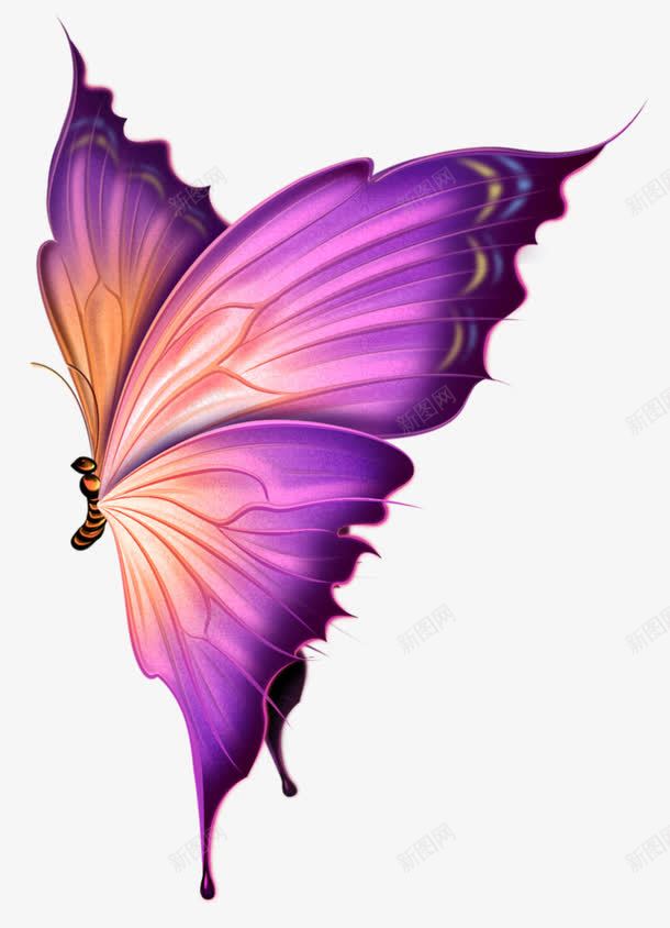 手绘蝴蝶蝴蝶卡通梦幻紫色蝴蝶png免抠素材_88icon https://88icon.com 动物 唯美 彩色翅膀 手绘 梦幻 紫色 紫色黄色蝴蝶 美丽的花蝴蝶 翅膀 翩翩起舞 花蝴蝶 蝴蝶 蝴蝶图案 飞行动物 黄蝶