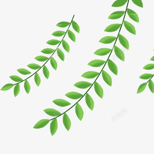 绿色清雅装饰柳叶装饰图png免抠素材_88icon https://88icon.com 唯美 小清新 条形柳叶 简约装饰 绿色底纹 绿色柳叶