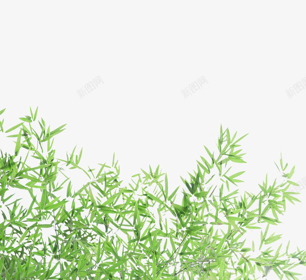 绿色竹叶png免抠素材_88icon https://88icon.com 春光 春天 植物 竹叶 绿色