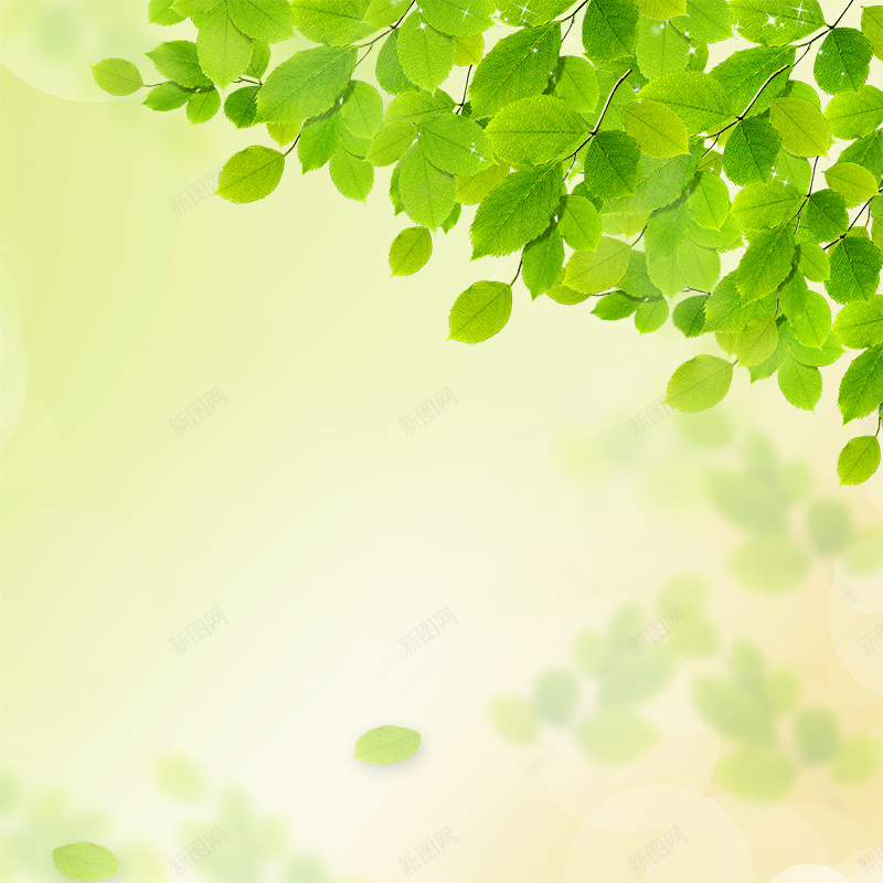 小清新春天绿叶主图jpg设计背景_88icon https://88icon.com psd 主图 女装 小清新 小清新主图 文艺 春季新品 树叶 淘宝素材 清新 简约 落叶 连衣裙直通车