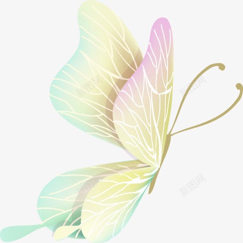 春季文艺彩色纹理蝴蝶png免抠素材_88icon https://88icon.com 彩色 文艺 春季 纹理 蝴蝶