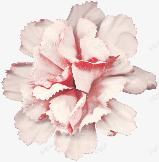 童话里的花png免抠素材_88icon https://88icon.com 哥特风 复古素材 暗黑 欧式 童话里的花 魔幻