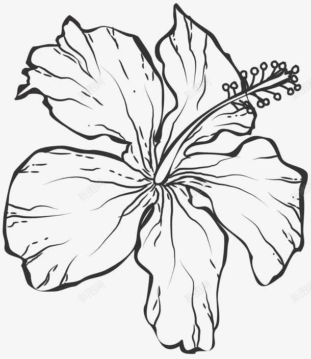 黑色花朵png免抠素材_88icon https://88icon.com 卡通 手绘 木槿花 水彩 花朵 花蕊 装饰 黑色