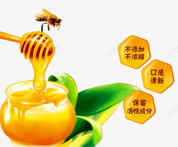 蜂蜜蜜蜂png免抠素材_88icon https://88icon.com 不添加 天然蜂蜜 搅蜜棒 槐花蜜 洋槐蜂蜜 洋槐蜜 淘宝天猫 纯天然 美味 蜂蜡 蜜蜂 野蜂蜜 餐饮美食