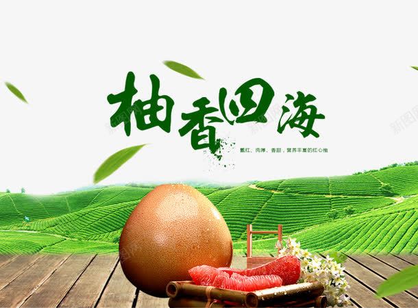 柚香四海png免抠素材_88icon https://88icon.com 天猫新鲜水果海报下载 柚子海报设计图 水果创意海报 水果红心柚子海报图片 淘宝水果海报素材