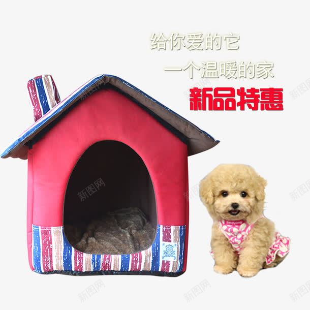 宠物店宣传单png免抠素材_88icon https://88icon.com 宠物店 宠物店宣传单 房子 收留 新品特惠 流浪狗狗 温暖 爱心
