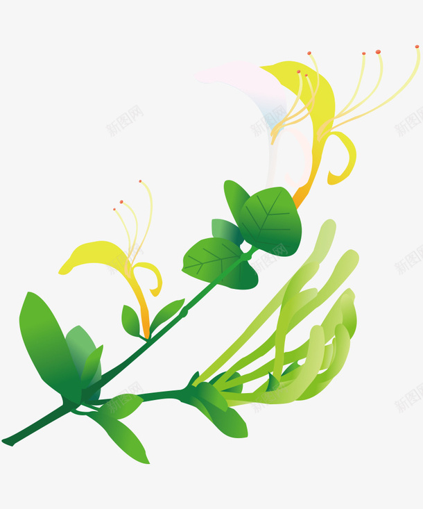卡通手绘美丽的金银花png免抠素材_88icon https://88icon.com 创意 动漫动画 卡通手绘 简约 绿叶 美丽的金银花