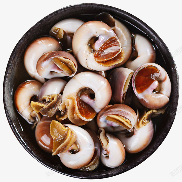 醉香螺肉螺微距特写png免抠素材_88icon https://88icon.com 产品实物 即食腌制海鲜 宁波海鲜特产 醉海螺 醉玉螺 醉香螺肉螺微距特写