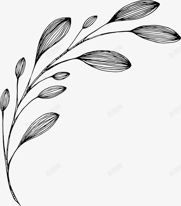 素色线描叶子png免抠素材_88icon https://88icon.com 叶 手绘 素色 线描