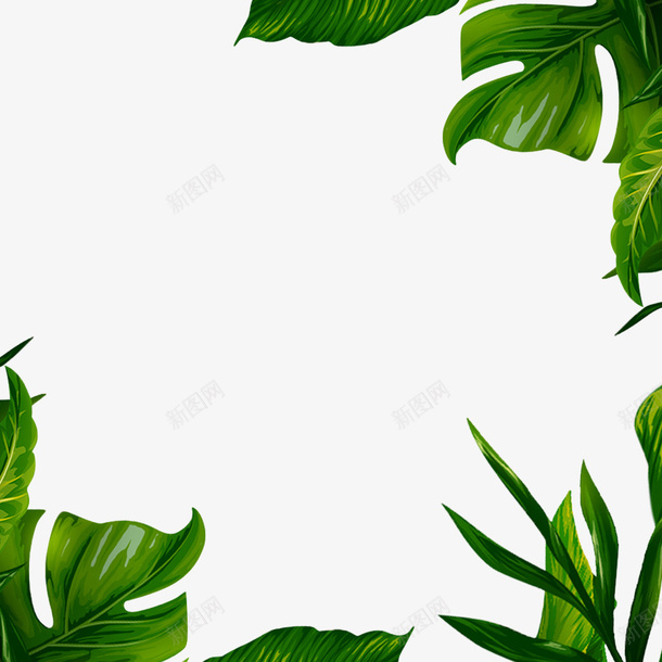 水彩叶子水草边框psd免抠素材_88icon https://88icon.com 创意 卡通手绘 叶子 彩球 植物 水彩 水草 边框