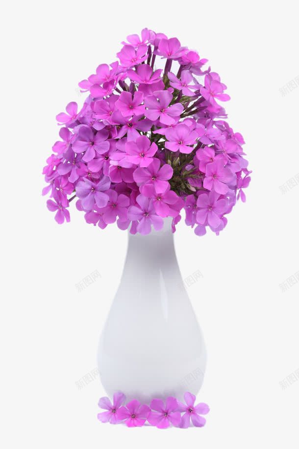 凤仙花桌花png免抠素材_88icon https://88icon.com 凤仙花 指甲花 插花 桌花 花卉 花瓶 花艺 装饰 鲜花