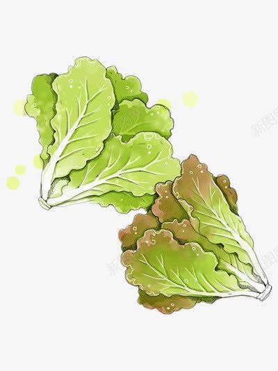 手绘青菜png免抠素材_88icon https://88icon.com 手绘蔬菜 绿色 美食 食物