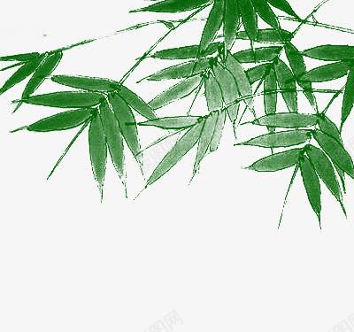 手绘水彩绿色树叶竹叶png免抠素材_88icon https://88icon.com 树叶 水彩 竹叶 绿色
