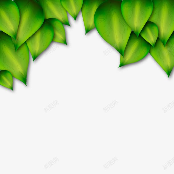 树叶背景png免抠素材_88icon https://88icon.com 3D树叶 春天 植物 绿色