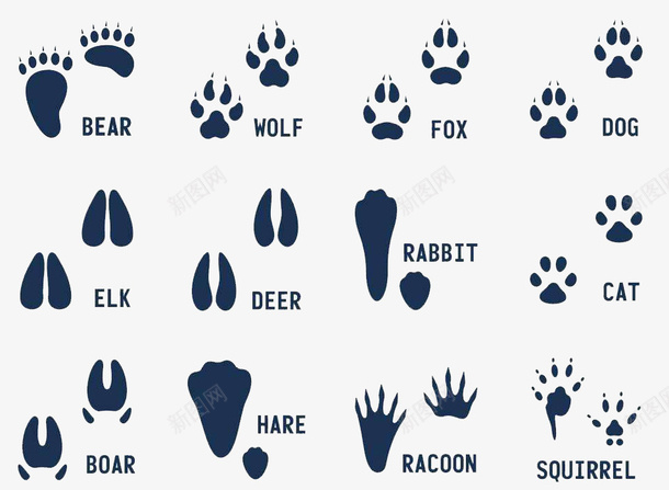 各种动物脚印剪影psd免抠素材_88icon https://88icon.com 兔子 兔子脚印 动物脚印 卡通爪子 卡通脚步 图案 插画 爪 痕迹 老虎脚印 脚剪影 脚步 蹄印 轨迹