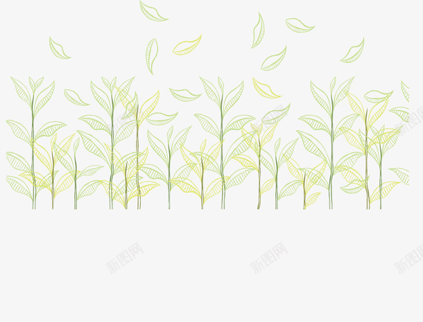 手绘风飞舞的茶叶花纹矢量图ai免抠素材_88icon https://88icon.com 夏季 矢量png 绿色茶叶 茶叶 茶叶花纹 飞舞茶叶 矢量图