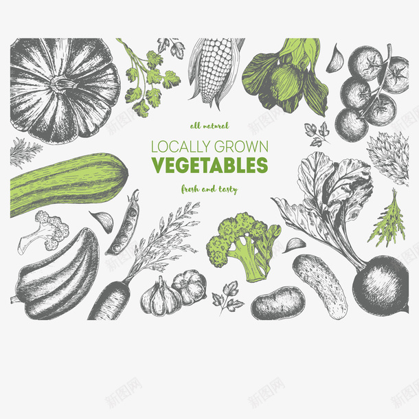 多种实物插画png免抠素材_88icon https://88icon.com 八角 四季豆 大蒜 插画 玉米 精美 蔬菜 黑白