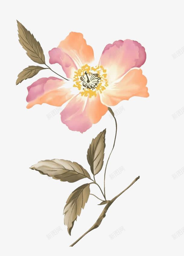 绽放的花朵png免抠素材_88icon https://88icon.com 中国风 大红花 山水 彩色绘画 水墨