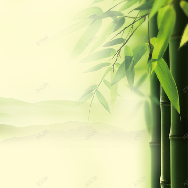 竹子清新背景psd设计背景_88icon https://88icon.com 中国风 主图 天猫 小清新 文艺 淘宝 环保 端午节 竹子 简约 绿色
