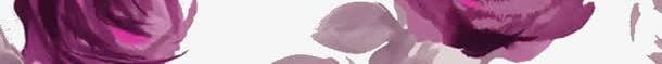 卡通紫色玫瑰花png免抠素材_88icon https://88icon.com 春天 玫瑰 花朵 鲜花背景