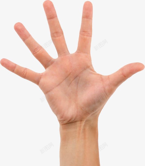 张开的手掌海报png免抠素材_88icon https://88icon.com 张开 手掌 海报