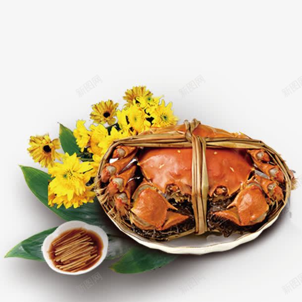 清蒸的大闸蟹png免抠素材_88icon https://88icon.com psd源文件 海中美食 海鲜自助 生姜 竹绳 菊花