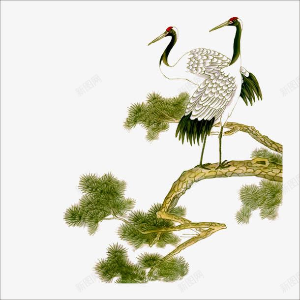 重阳白鹤png免抠素材_88icon https://88icon.com 白鹤松树 祭祖 重阳 重阳节
