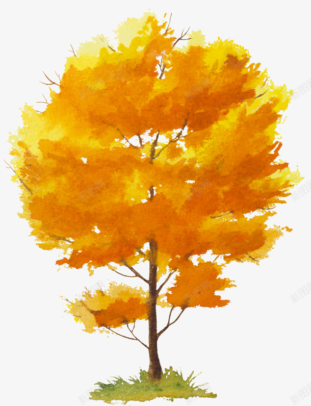 手绘橘色的树木图png免抠素材_88icon https://88icon.com 创意 卡通手绘 叶子 树木 橘色 水彩 秋天 黄色