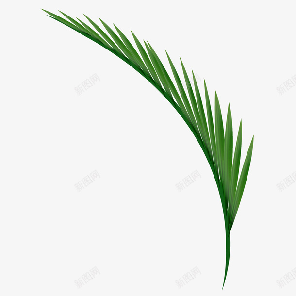 绿色棕榈树枝矢量图eps免抠素材_88icon https://88icon.com png免抠图 创意 卡通 形状 手绘 时尚 树枝 棕榈树叶 植物 绿色 矢量图