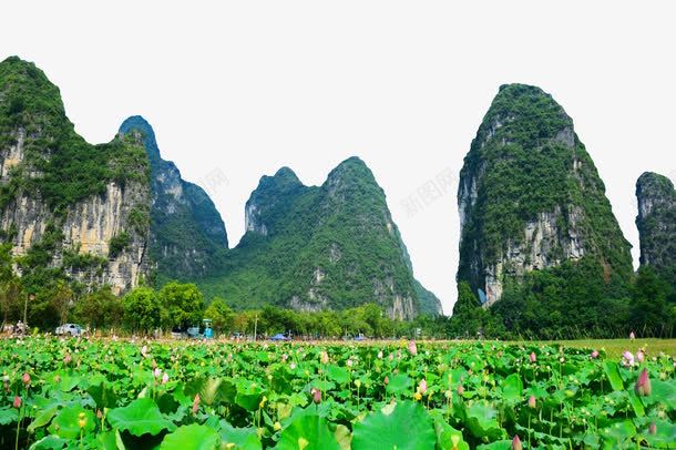 桂林山水美景png免抠素材_88icon https://88icon.com 万象美景 山水风景 广西旅游 桂林山水 桂林摄影图 水 湖 漓江 田园风光 自然景观 船 荷塘 荷花