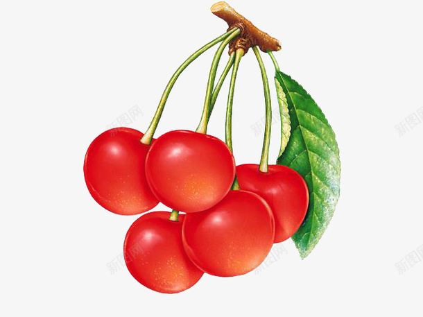 彩铅樱桃png免抠素材_88icon https://88icon.com 一串樱桃 彩铅樱桃 樱桃 水果 红色水果