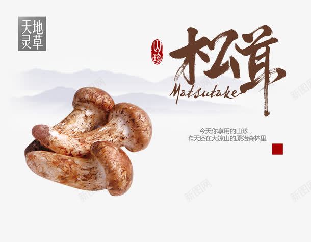 野菌山珍清新松茸海报png免抠素材_88icon https://88icon.com 唯美 松榕山珍 松茸 清新 清新松茸海报设计 清新海报 美食 菌类 野菌 野菌山珍 野菌山珍海报 食材 食物