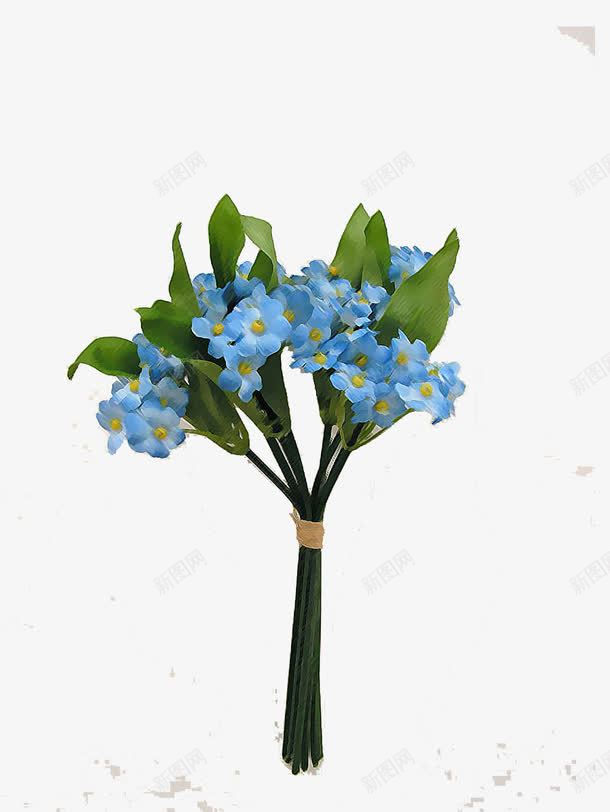 浅蓝色花束png免抠素材_88icon https://88icon.com 一束 勿忘我 勿忘我花 星辰花 浅蓝色 浪漫花语 清新 花朵
