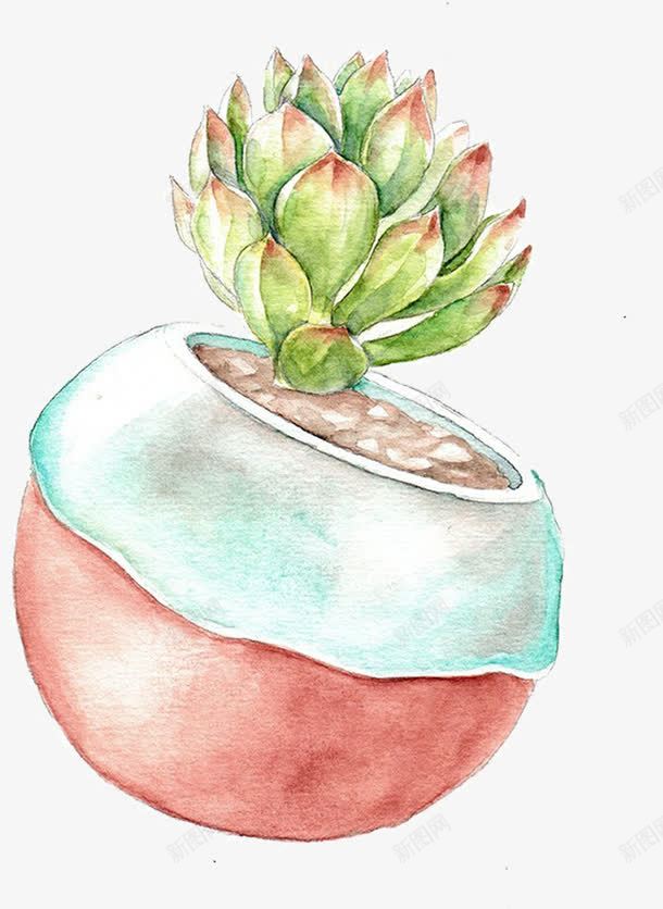 水彩多肉植物png免抠素材_88icon https://88icon.com 图案 多肉 小清新 彩色 时尚 植物 水彩 盆栽 简约 花纹 装饰